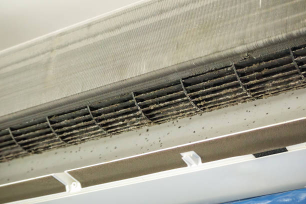 Best Dryer Vent Cleaning Services  in Landing, NJ